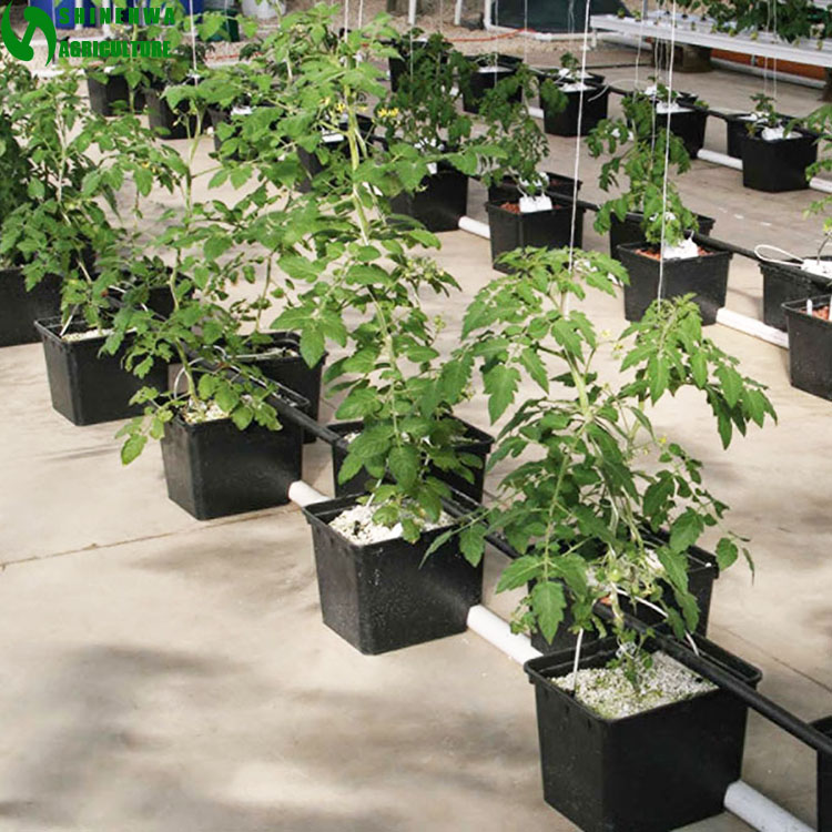 Hydroponics Supplies Dutch Bucket System Used for Plastic Agriculture Green House