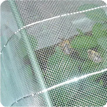 Agricultural Insect Protection Net