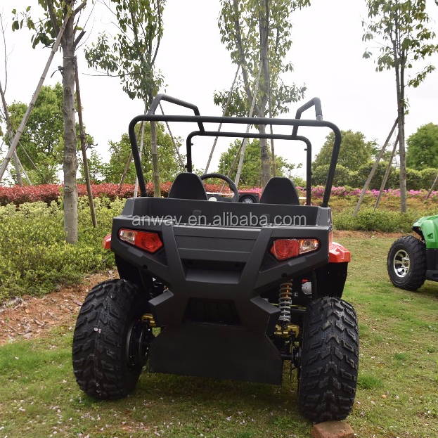Новинка 5000 Вт 4x4 Электрический utv