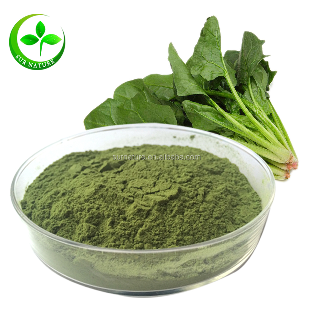 100% Natural Spray dried /frozen spinach Extract Powder from China factory