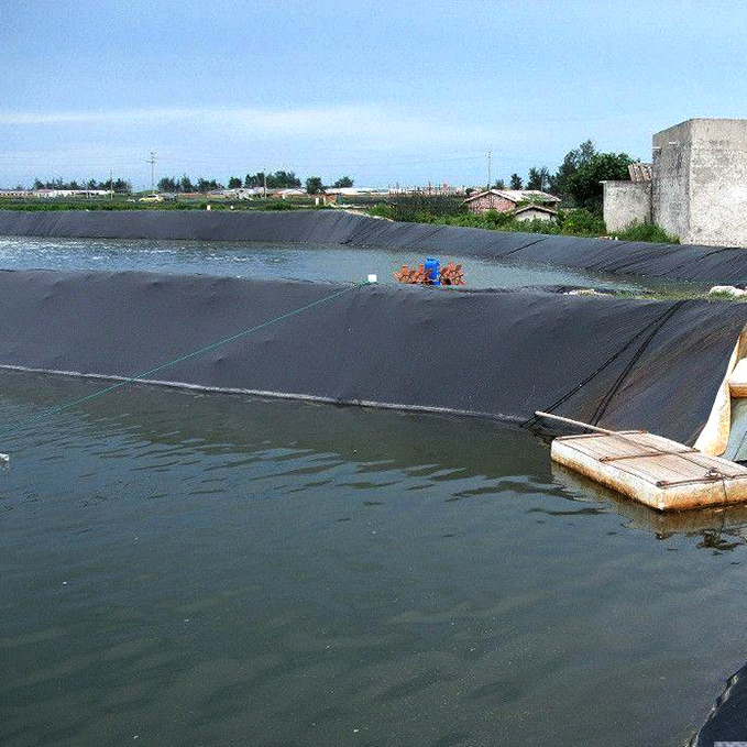 Водонепроницаемый материал HDPE/LDPE/EVA геомембрана для сточных вод плотины, канал аквариума