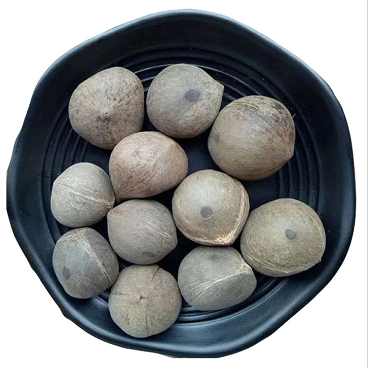 Hai вы Huang питательные ингредиенты супа Nan Hai мини кокосовое масло Coquito гайки/Jubaea Chilensis с принтом «фрукты»/Чили Cocopalm фрукты