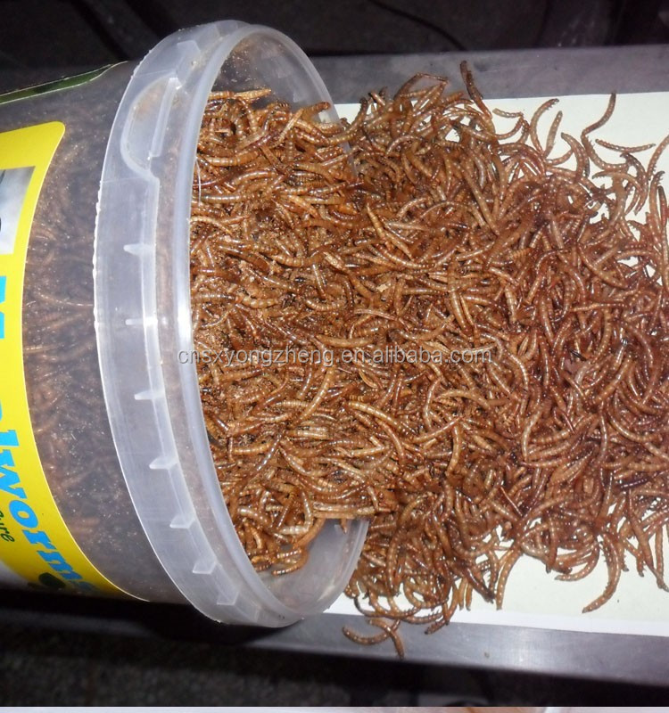Природные птиц кормления Сушеные Mealworms, птичка киви Сушеные Mealworms