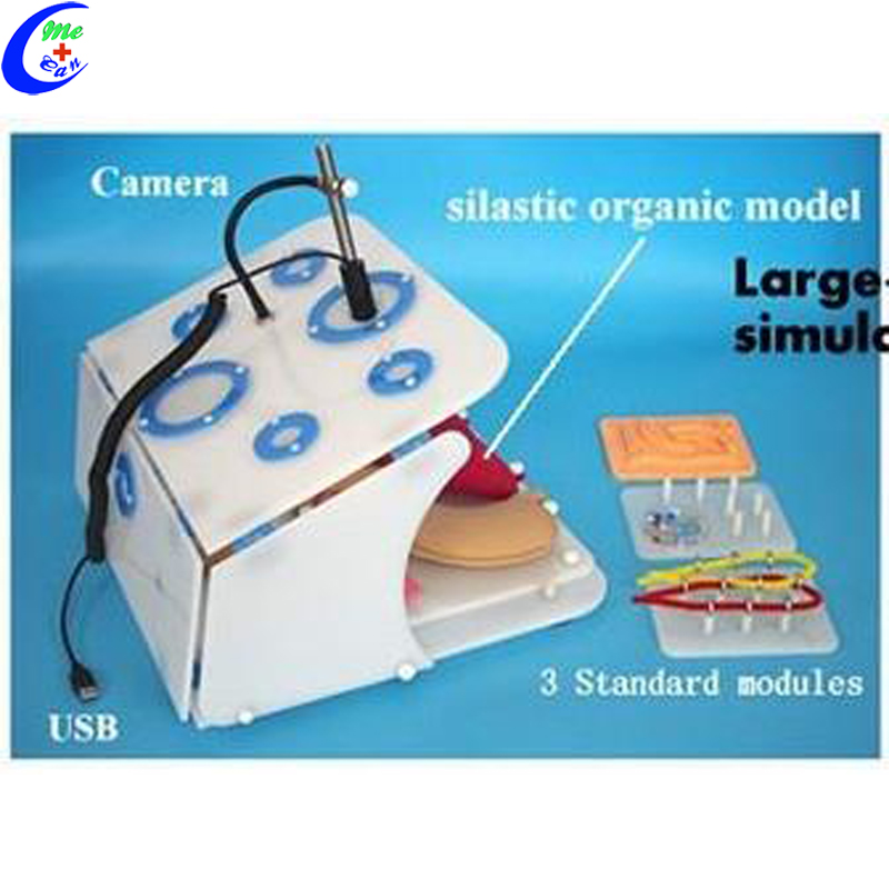 Middle Type (Hemispheric) Laparoscopic Box Trainer, Laparoscopic Simulator Box