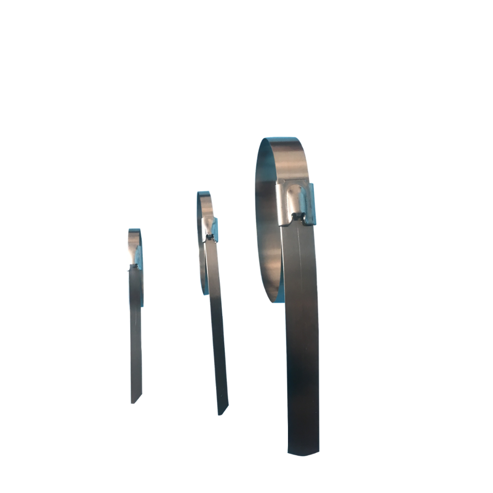 S304/S316 SS 316 стяжка для кабеля из нержавеющей стали