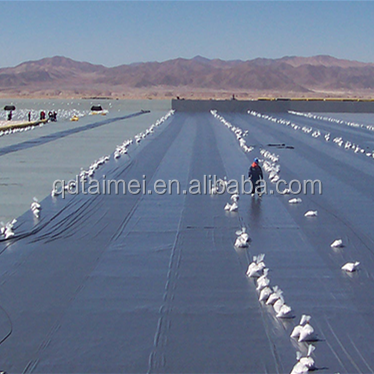 1 мм 2 мм HDPE Рыбная ферма Пруд Лайнер геомембрана