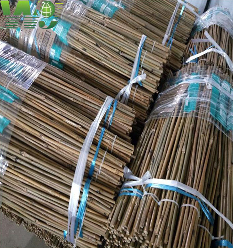 Wy-083 Nature сухие прямые бамбуковые трости из ротанга для продажи