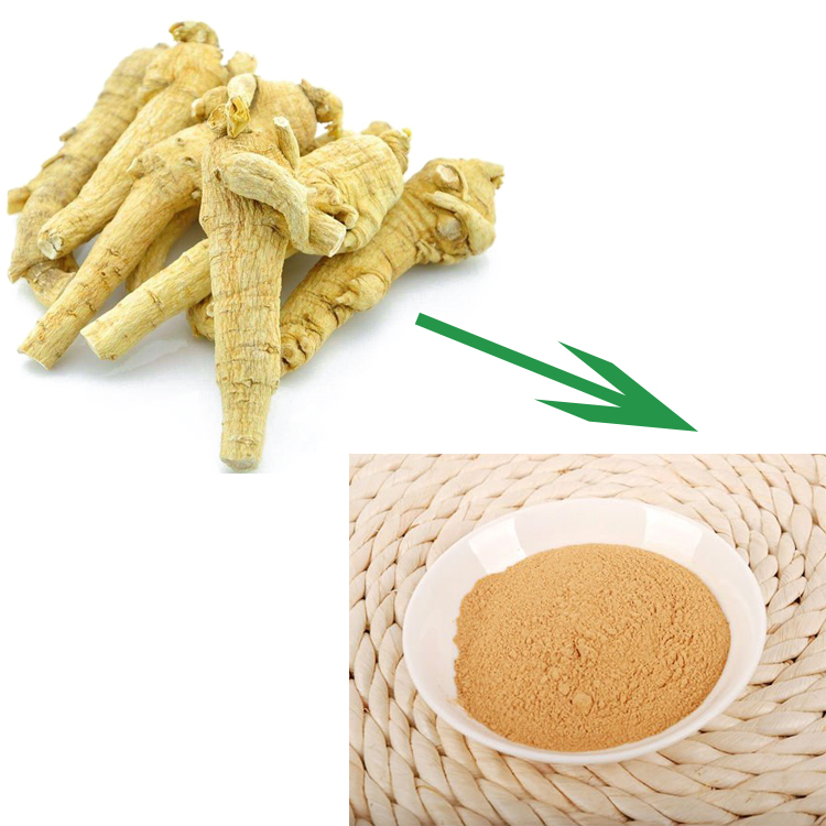 100% water soluble Panax Ginseng extract Ginseng root extract in stock