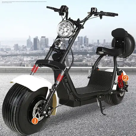 EEC COC 2 seat citycoco 2000w 1000W 3000w with removable battery under seat