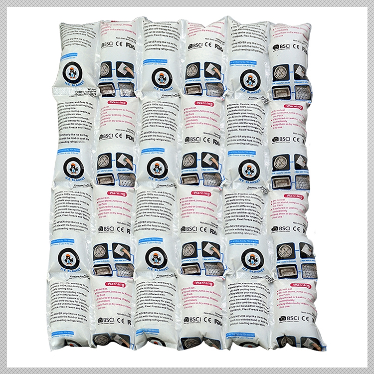 Worldbio 24 Cells Automatic Water Absorption Non-Toxic Ice Pack Sheet Food Dry Ice Pack For Cold-Chain Food Transport