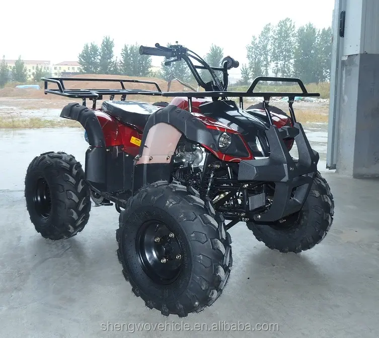 Gas / Diesel Fuel and Chain Drive Transmission System new 125cc atv