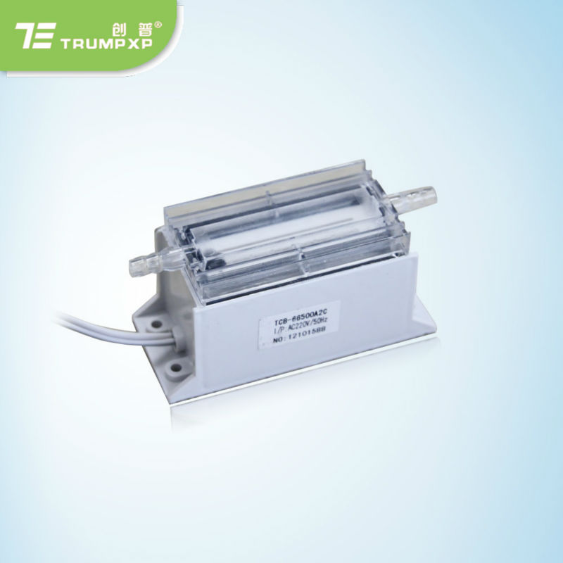 TRUMPXP TCB-66100D12C washine машина озона DC12V генератор озона для воды стерилизатора