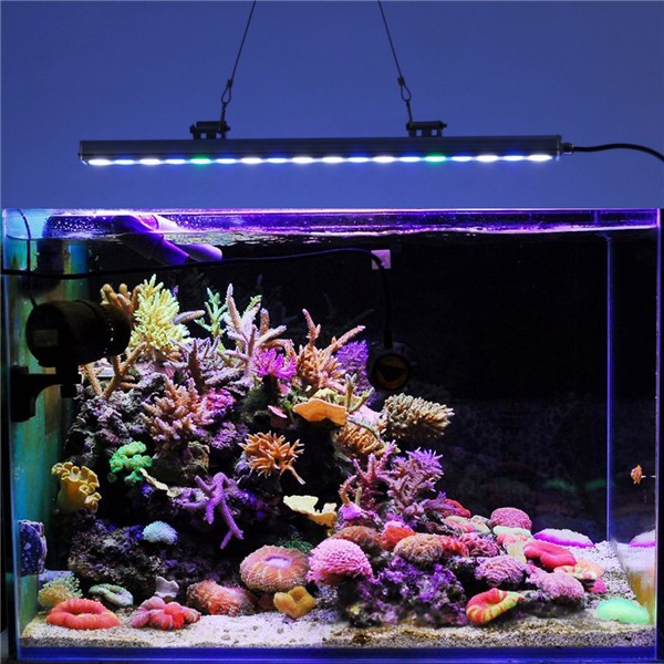 Оптовая продажа 1000K белый синий зеленый uv полный спектр 22 дюйма 18x3w 54w Китайский светодиодный аквариумный светильник, 2019