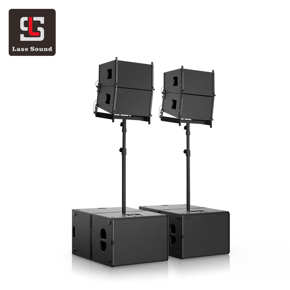 VERA 10 pro dj линейный массив питание активный 10 "массив с calss-D и усилителем DSP