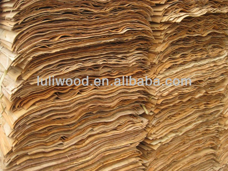 ROTARY natural Wood Veneer/poplar/pine/okoume/eucalyptus/birch/bintangor Sheet for Plywood