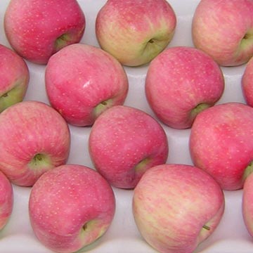 Red Star Apple
