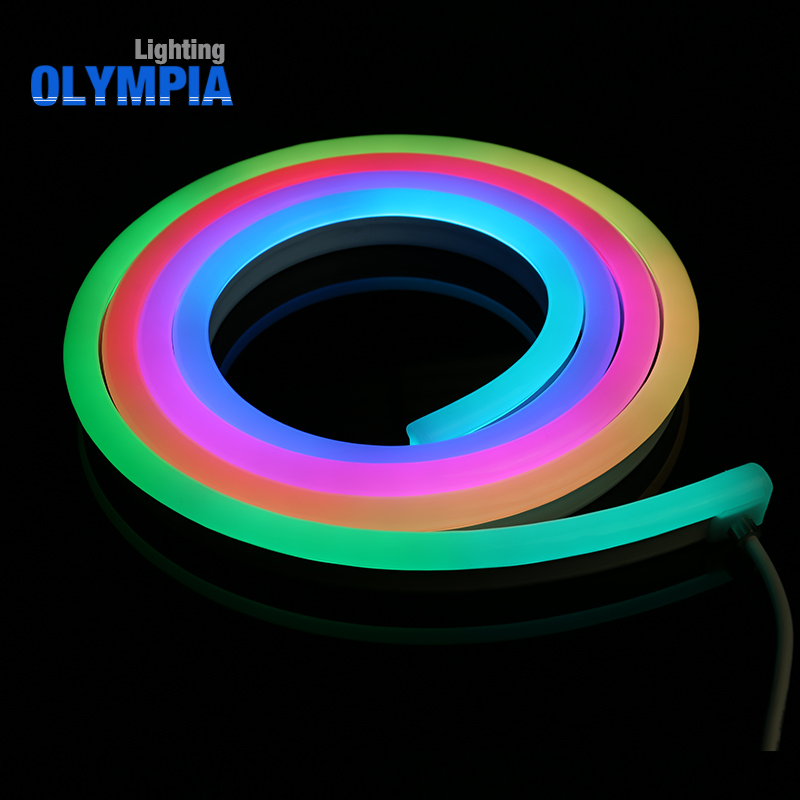 Индивидуальное неоновое гибкое освещение 24 В гибкий Rgb Пиксельная светодиодная неоновая лампа