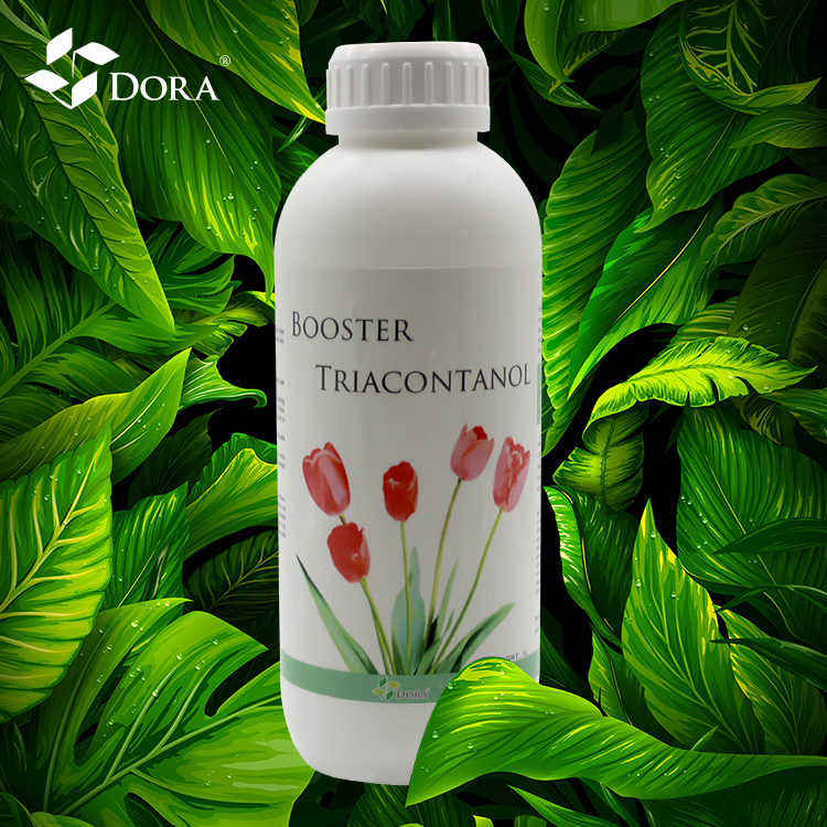 Забота о качестве Triacontanol стимуляторы роста растений