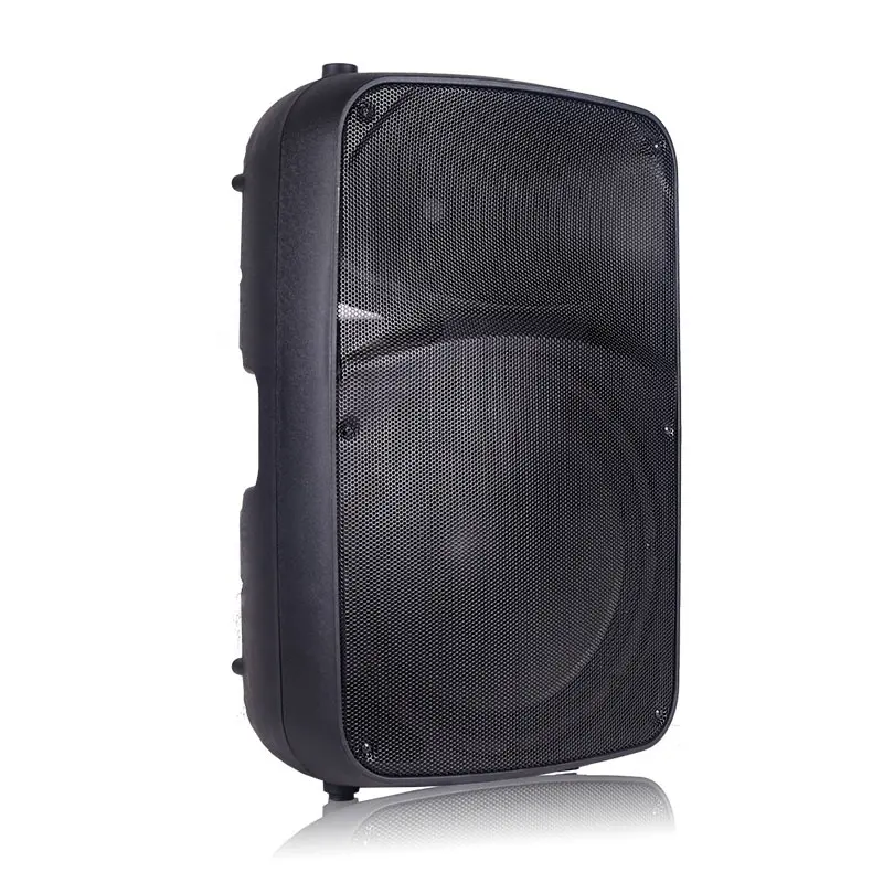Manufacturer high end 300W powerful PA speaker for wholesales