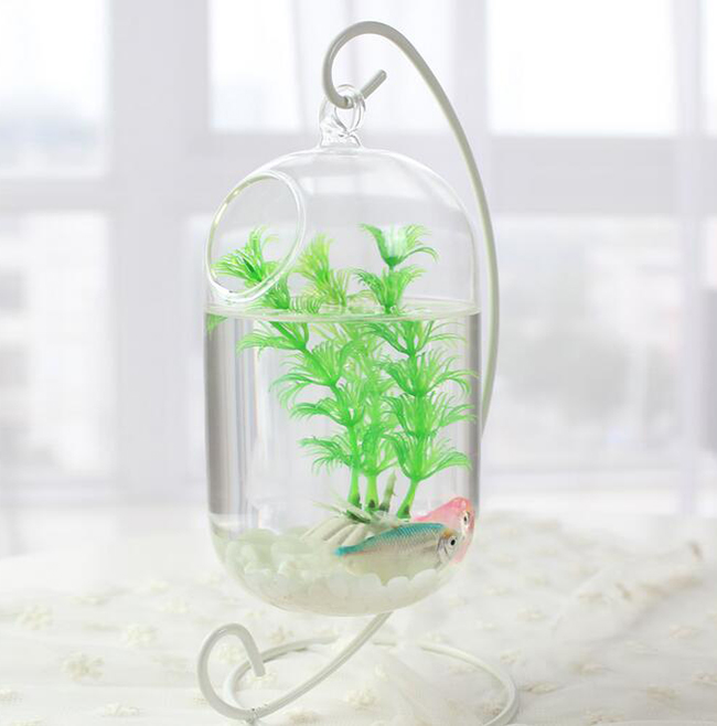 Big Volume Hanging Glass Fish Container With White Iron Stand