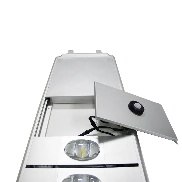 IP65 easy disassembled Lifepo4 battery 60w all in one solar panel led street light with pole