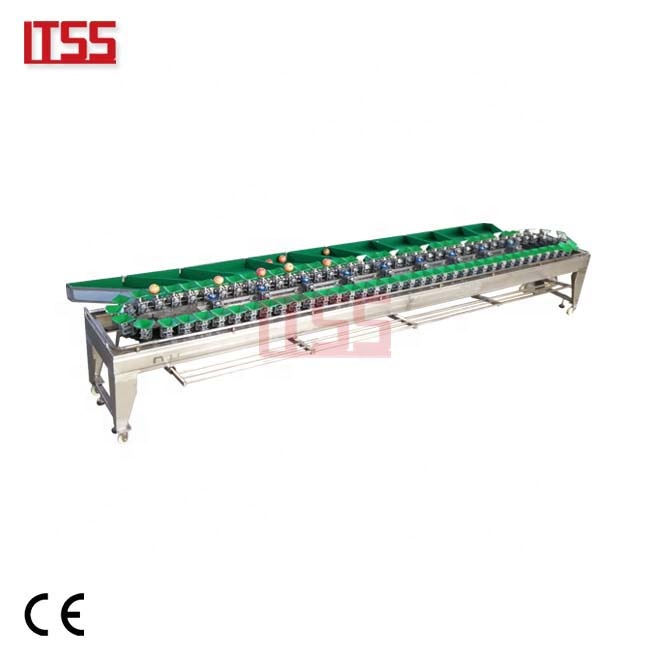 Cherry tomato wash grade working line fruit automatic sorting machine