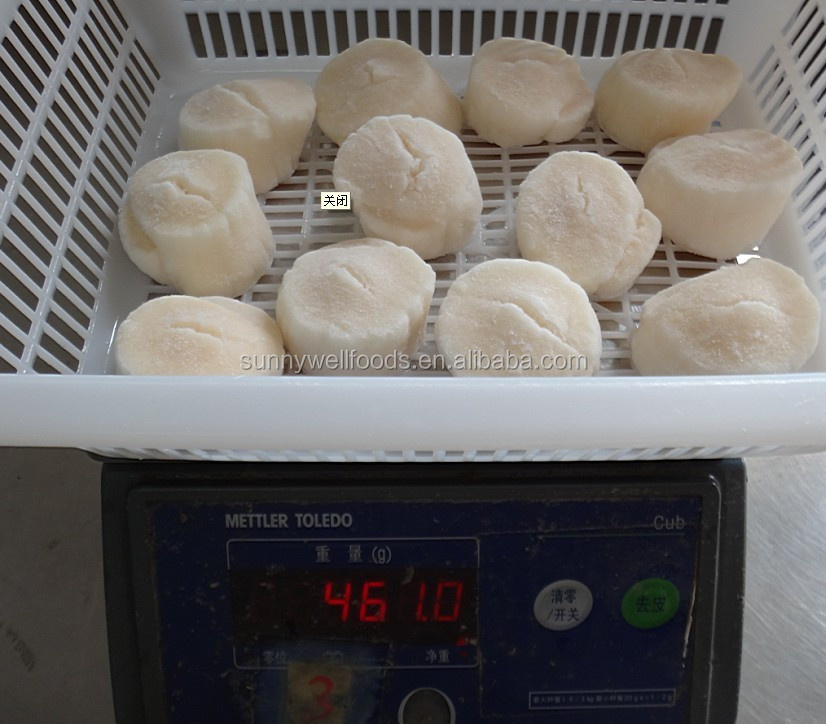 Замороженное морское фестонное мясо