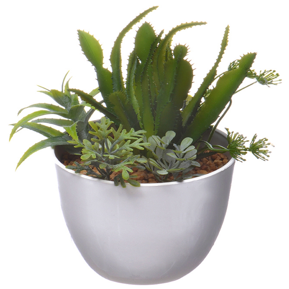 Cheap wholesale outdoor /indoor decorative potted plant small potted bonsai
