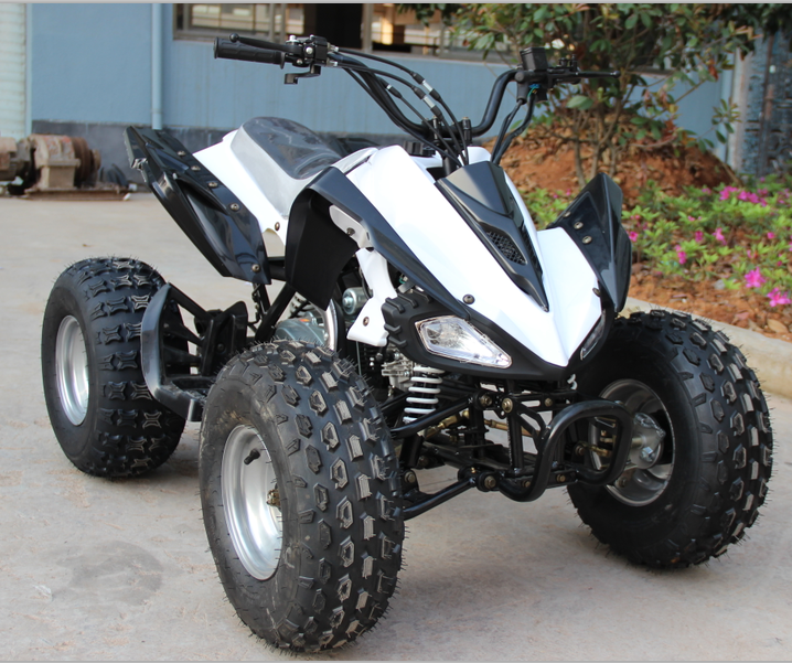 Спорт 4 wheeler 125cc atv