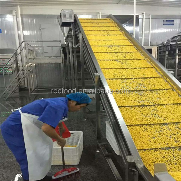 Оптовая продажа продукты iqf замороженные кукуруза ядра jinfei различные