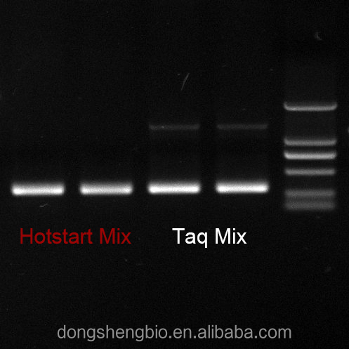 OptimusTM Hotstart Taq Mix