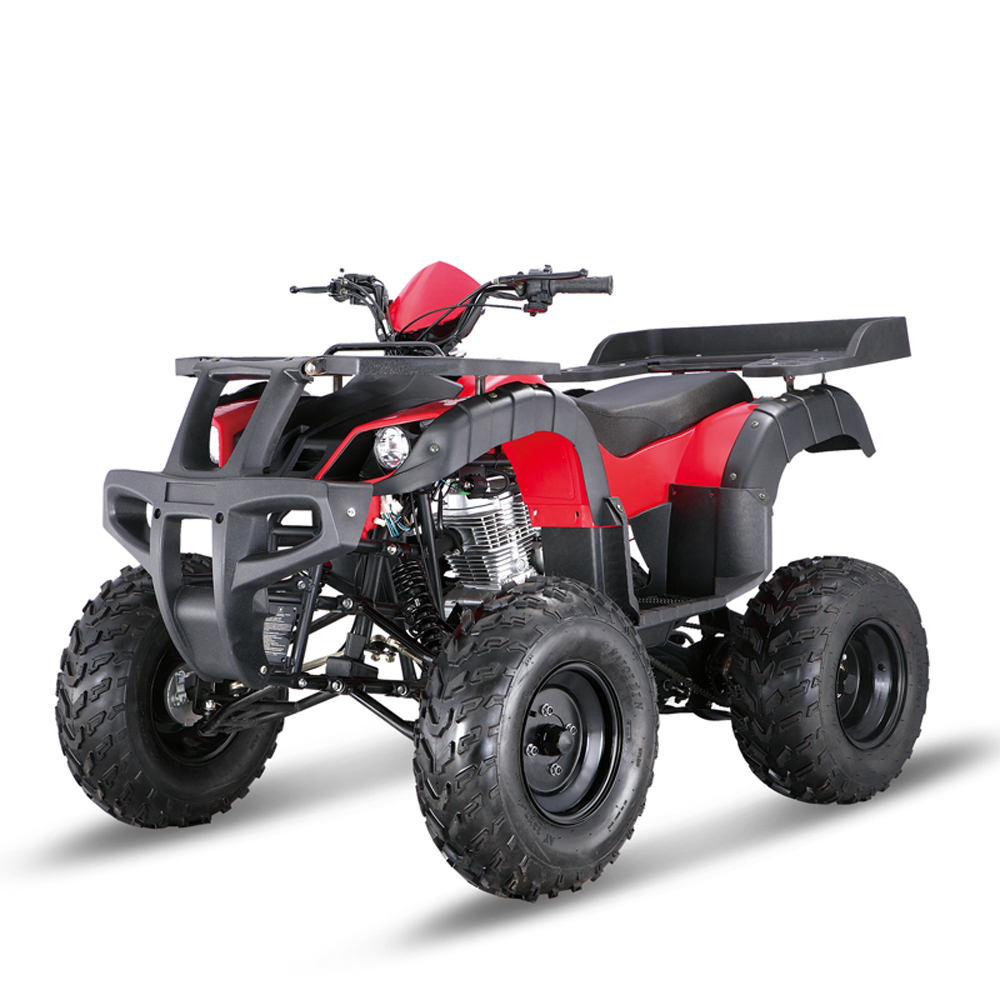 Tao Motor ATA250-D 4x4 atv quad atv 250