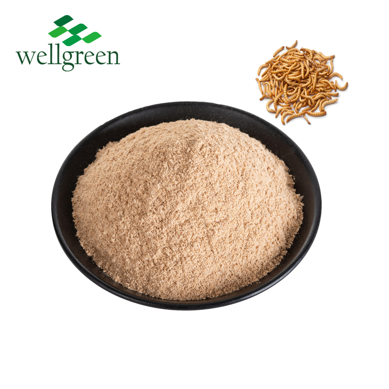 Supply High Quality Feed&Food Grade insect protein powder / Insect powder