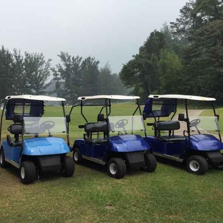 Необслуживаемые 48 В 4KW Электрический Golf cart