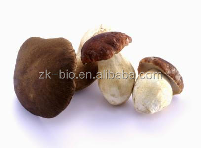 Лидер продаж, гриб Funghi Porcini