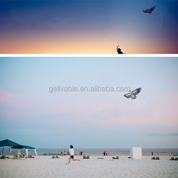Easy flying eagle scare bird chinese kite