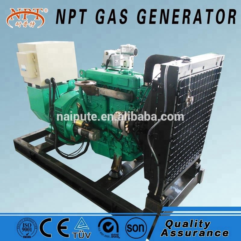 20kW biogas genset price