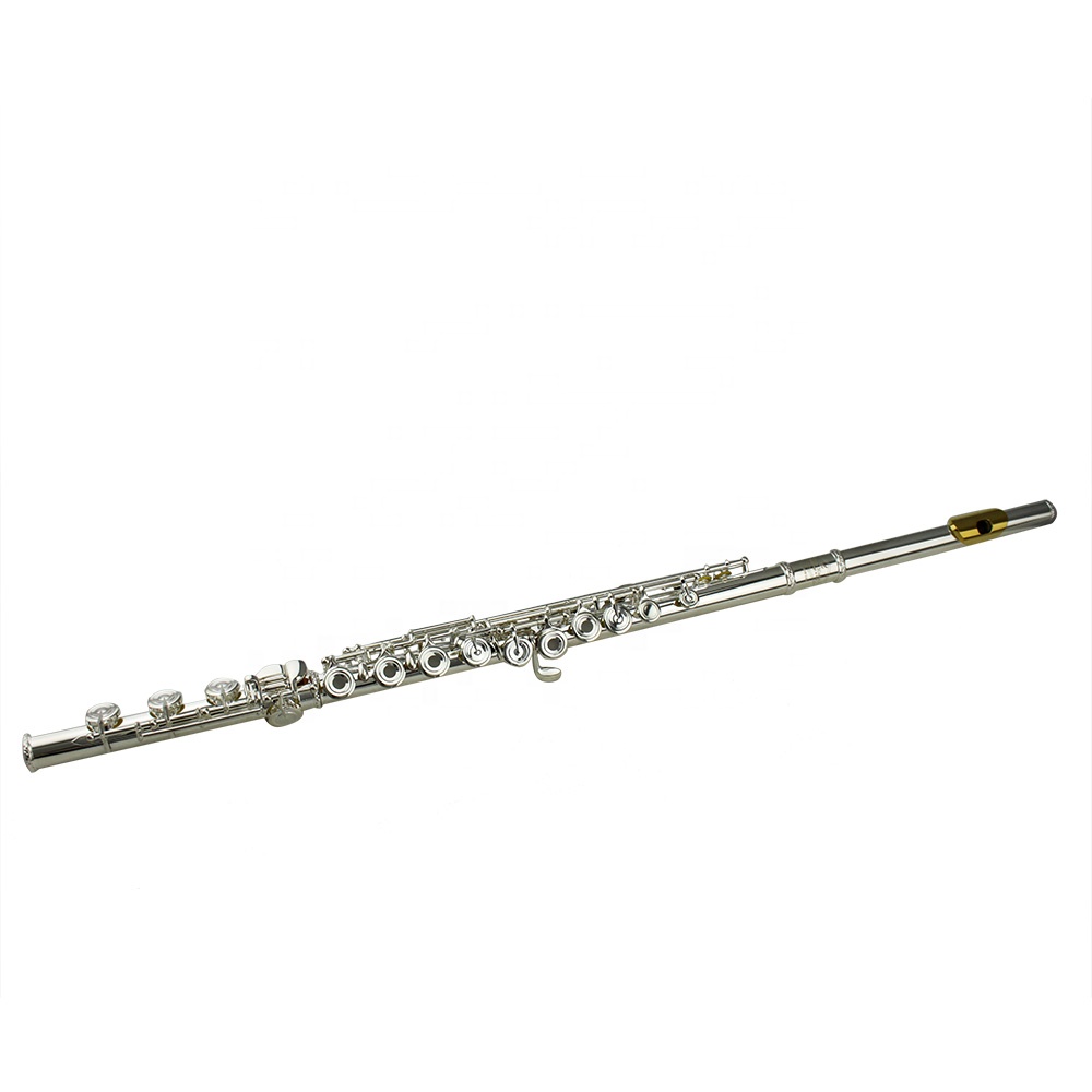 17 open holes, flute E mechanism, B foot, offset, silver plated.Gold plated lip plate