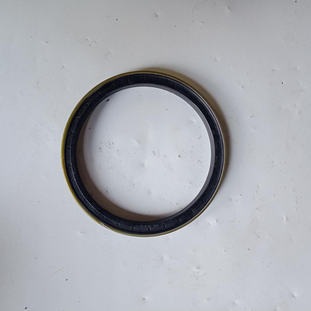 Hub Bearing Oil Seal WG9970340113 for Sinotruk HOWO Parts 220*245*30