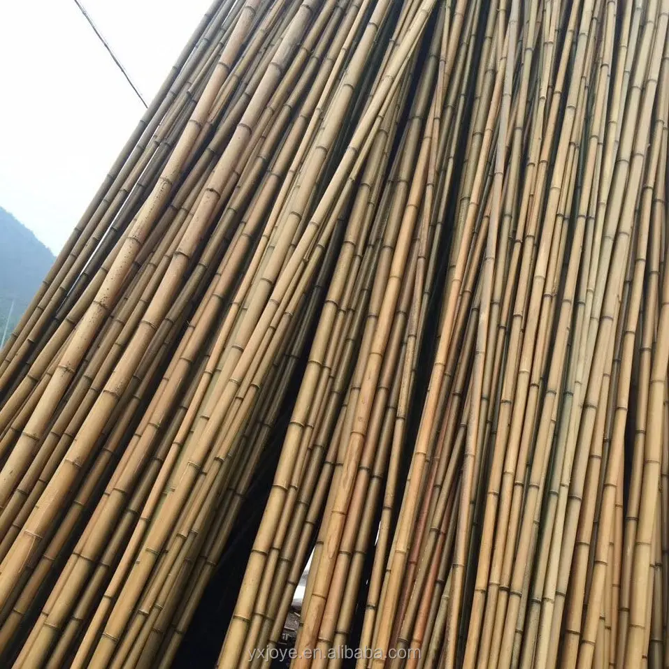 Raw bamboo poles price