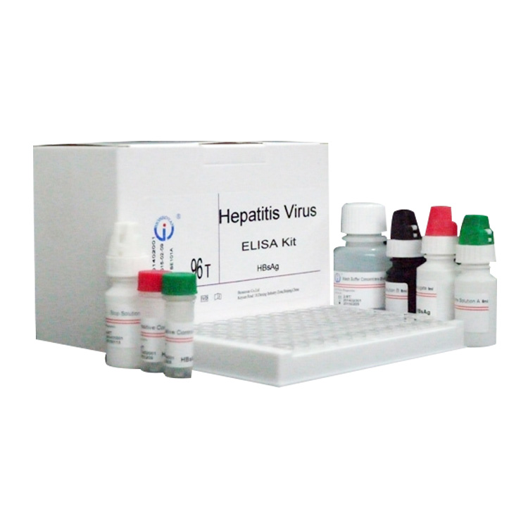 CE ISO медицинский прибор для анализа крови hev igm elisa тест-комплект/elisa комплект hev igm
