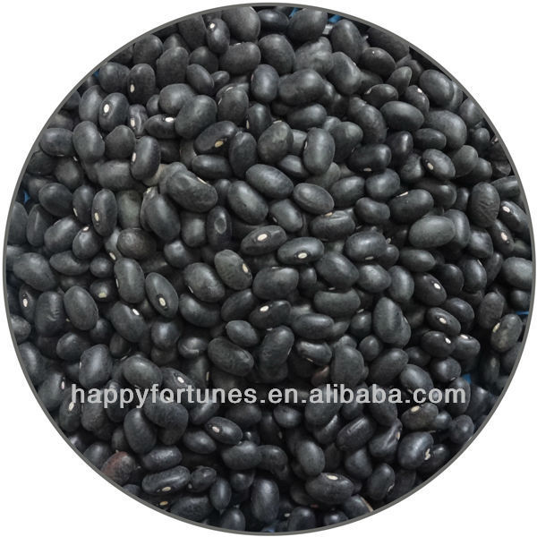 Bean/черный Beans/черная черепаха фасоль