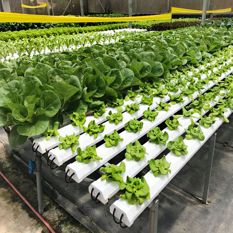Каналы Hidroponics для сельскохозяйственной продукции (вертикальное сельское хозяйство)