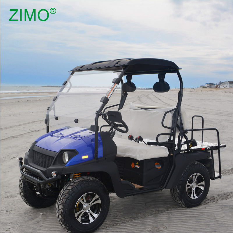 Chinese Cheap UTV Jeep for sale