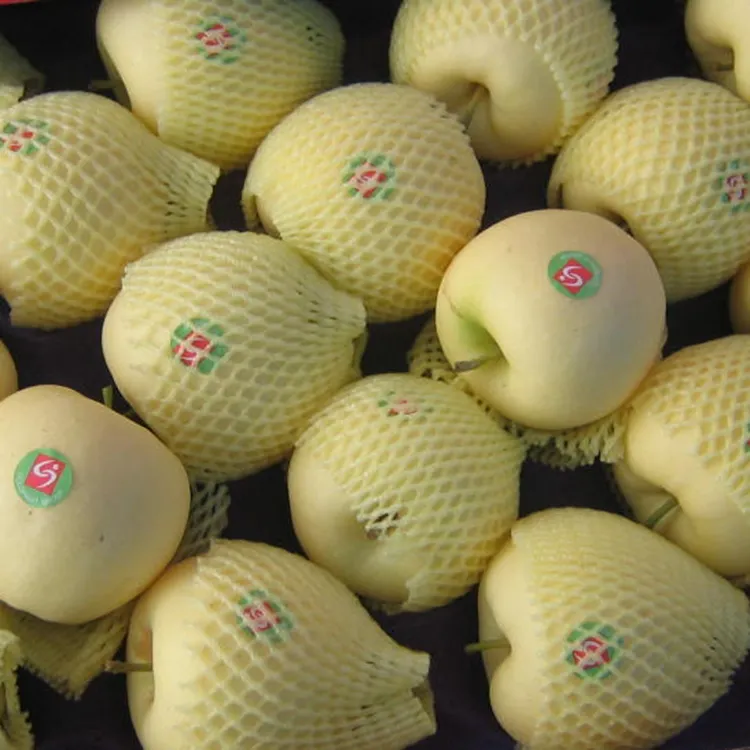 CHINA SUPPLIER GOLDEN DELICIOUS APPLE FOR SALE