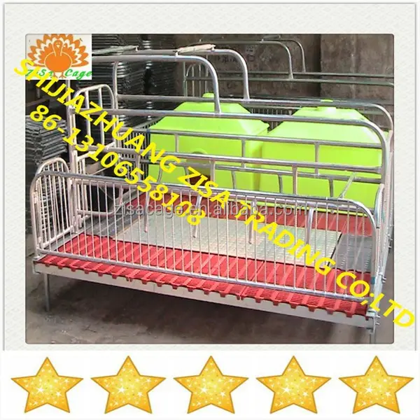 Sow farrowing equipment pig feeders smoothing surface automatic stainless steel pig feeder for sale