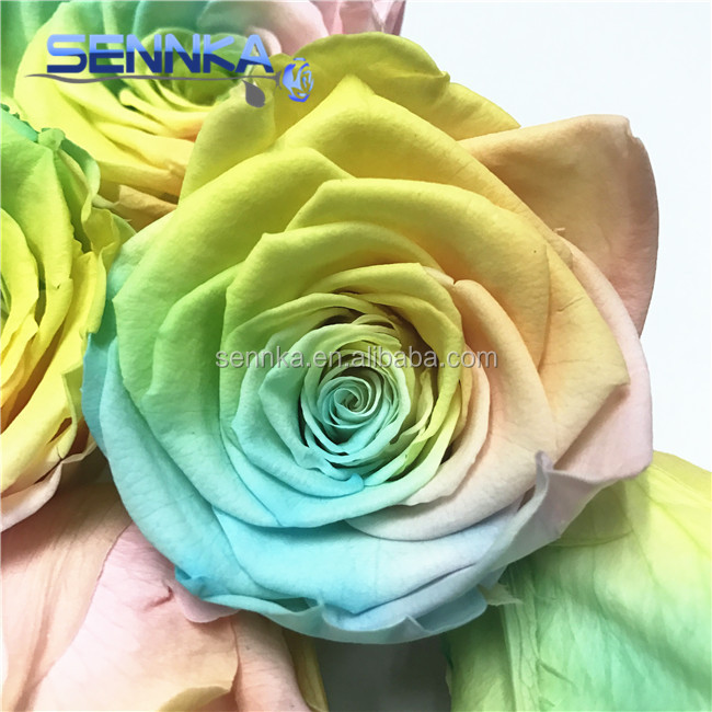 Оптовая продажа с фабрики сохранились Flowers10cm Радуга Роза Глава Для Свадебные украшения