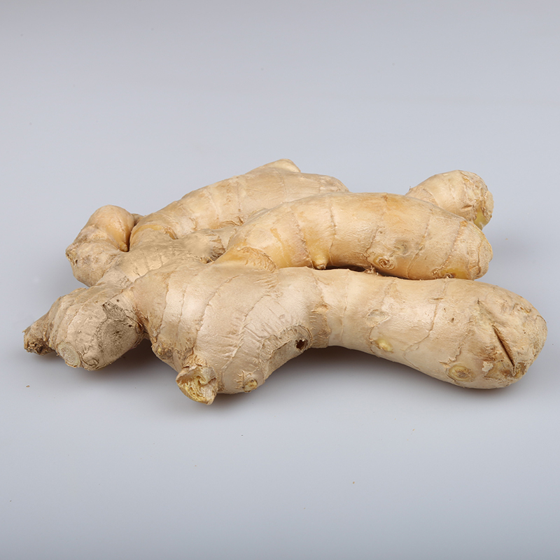 China new fresh specification dry ginger