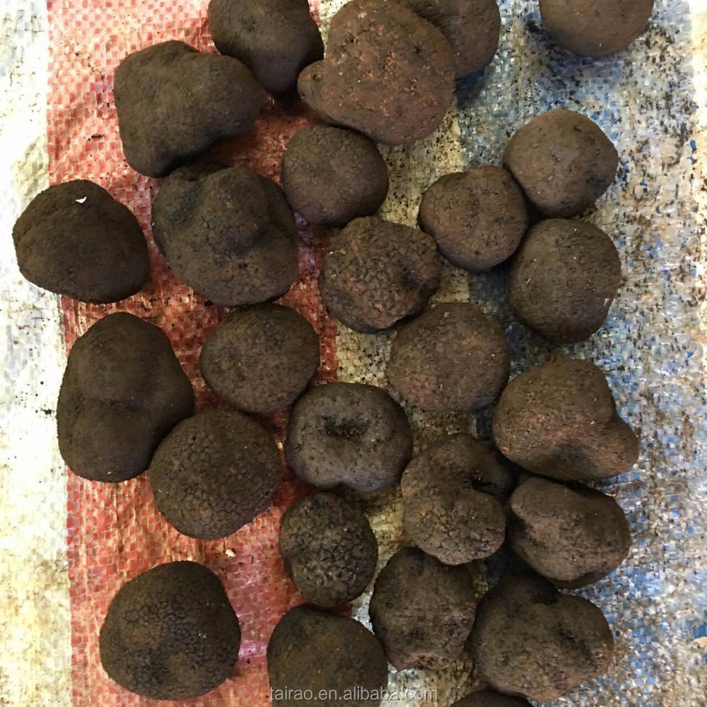 Grown in china truffle price green health truffle boxes packing wholesale mushroom prices