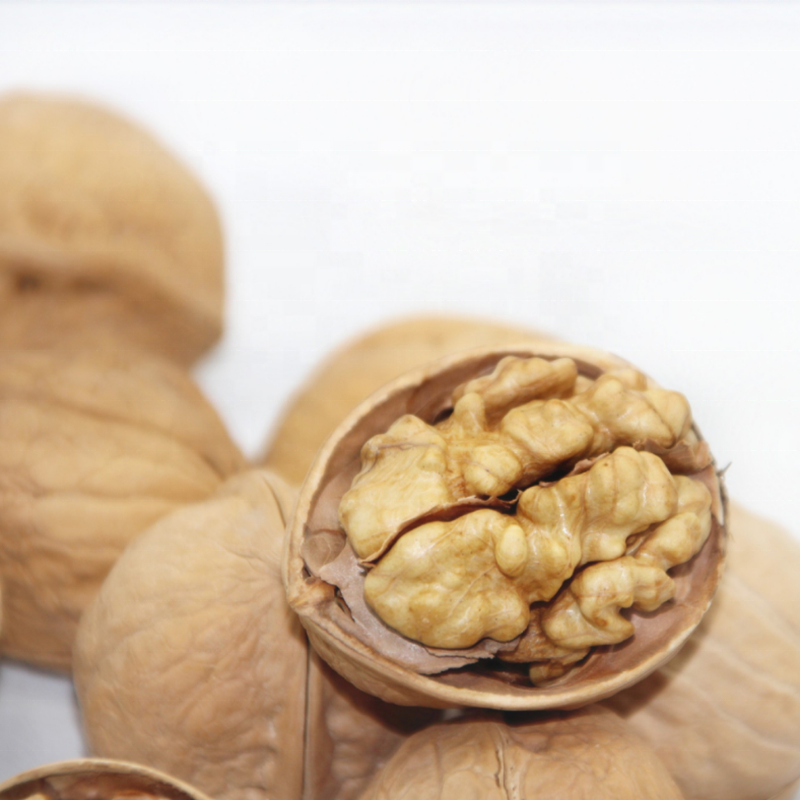 Top Quality New Crop 185 Chinese Shelled Walnuts Nueces Xinjiang